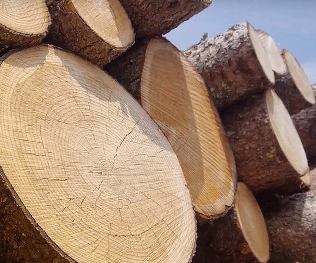 Video on the manufacturing process of End-Grain Kitchen Cutting Boards