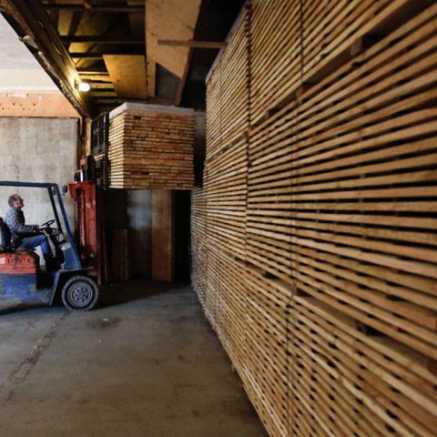 Lifts of kiln dried larch wood.