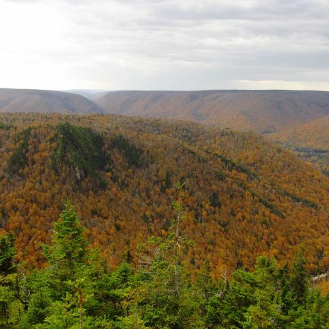 View over the beautiful forests of Cape Breton, Canada